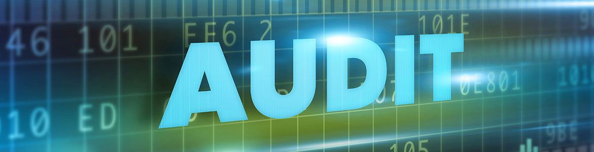 asset-inventory-audit-header