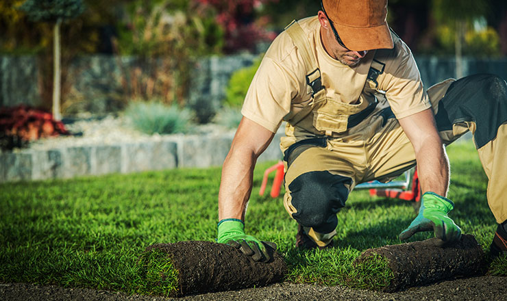 the-budd-group-recovers-8-hours-thumbnail