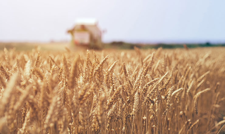 Agriculture Companies Must Formalize How They Track Assets - Asset Panda