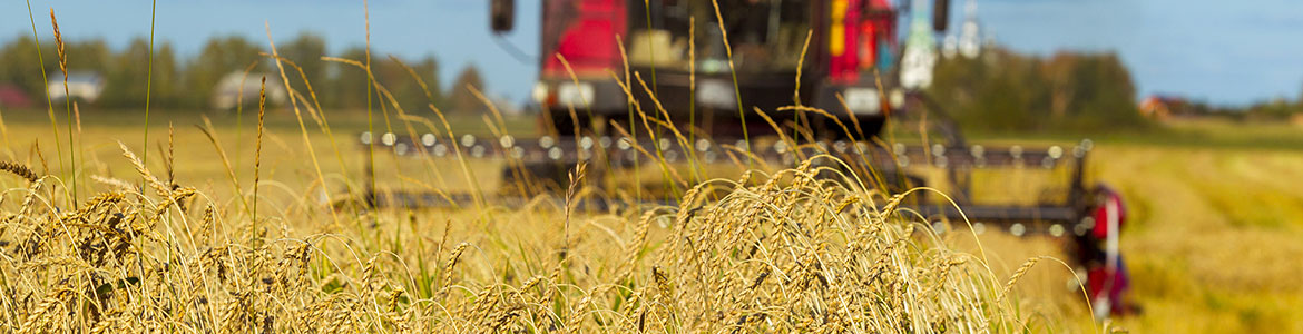 how-agriculture-machine-maintenance-improves-your-harvest-header
