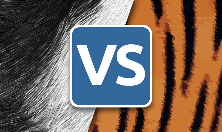 asset panda vs asset tiger illustration