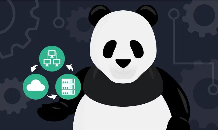 panda illustration for what is it asset management